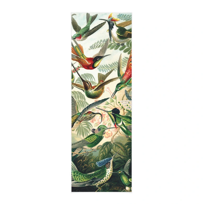 Textielposter Haeckel - Kolibries 