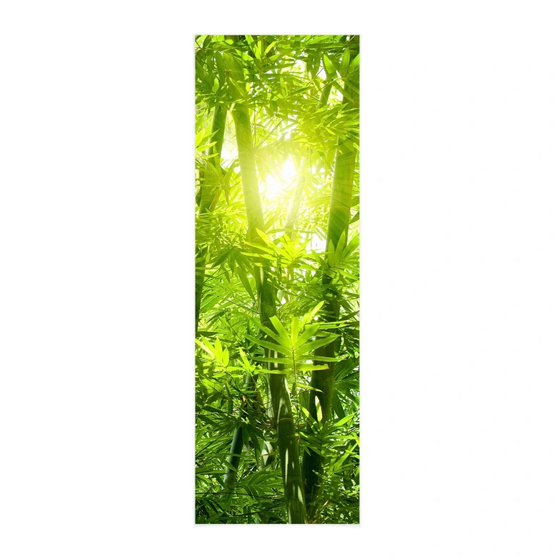 Affiche textile Soleil dans la forêt de bambous - panorama 