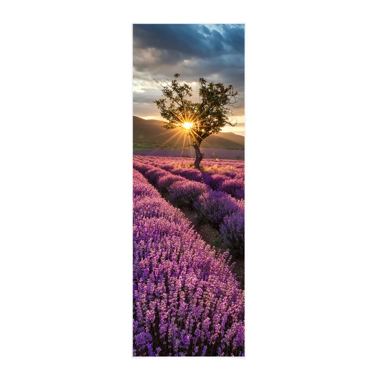 Póster de tela Flor de lavanda en Provenza - Panorama 