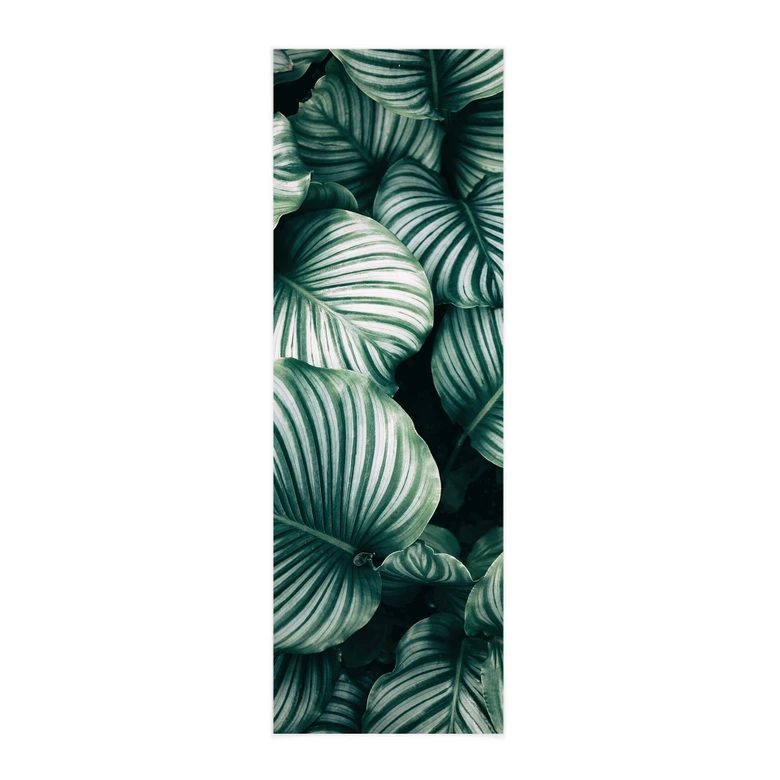 Stoffbild Urban Jungle - Calathea Orbifolia 