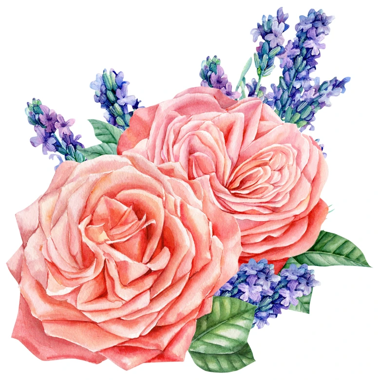 Wandtattoo Rosen Harmonie rosé XXL 
