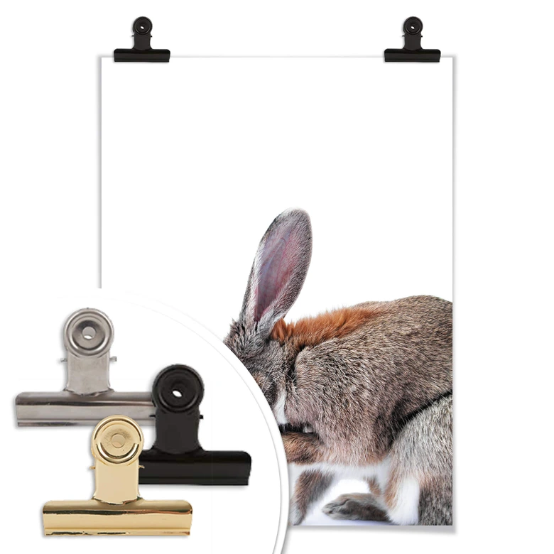 Premiumposter - Lepus 