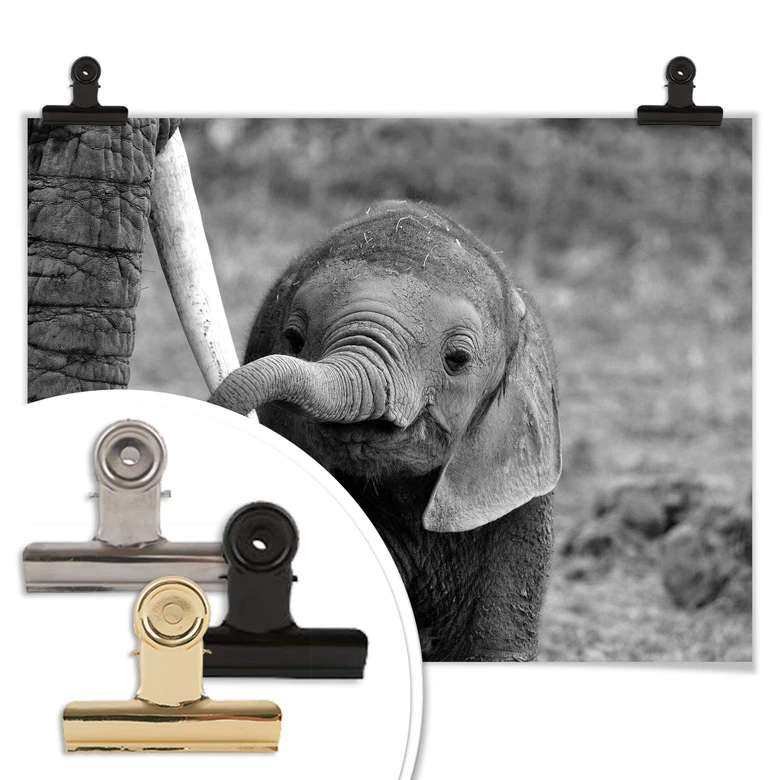 Poster Alicke - Close to Mum 