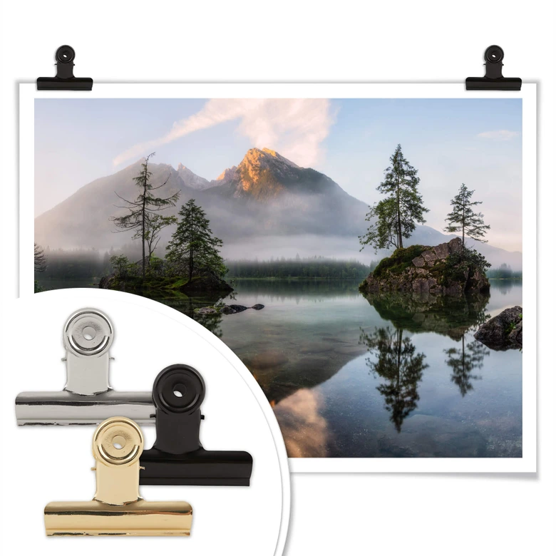 Poster Fleischhacker - Nature's Awakening 