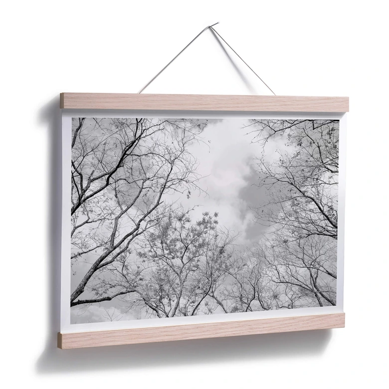Poster Baumkronen im Himmel 