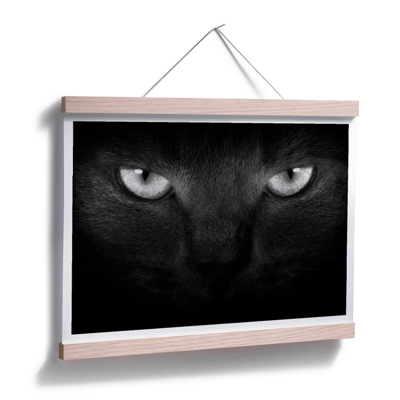 Poster Katzenaugen - schwarz/weiß 