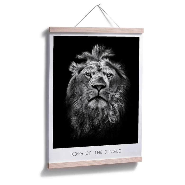 Poster Lion - Roi de la jungle 