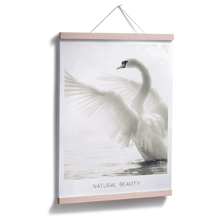 Poster Majestätisk svan - Naturlig skönhet 