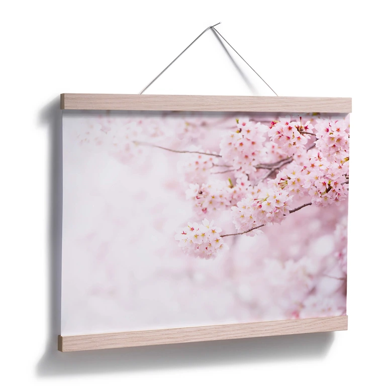 Poster Zarte Kirschblüten 