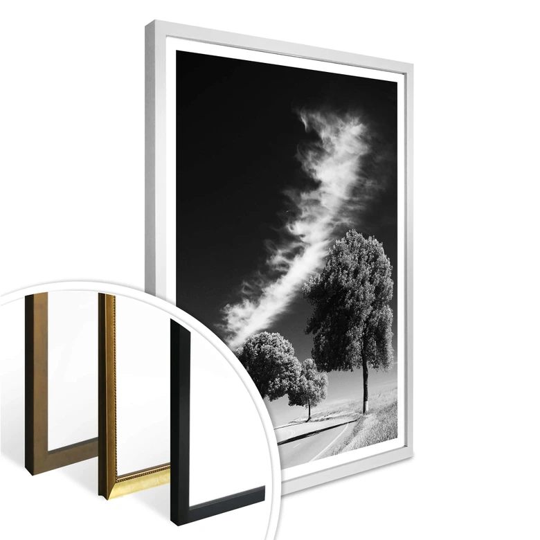 Póster Revestimientos de plata 