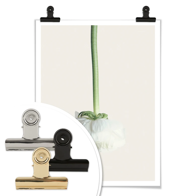 Poster Ranunkel 02 