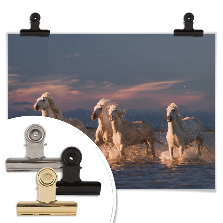 Poster Rostovskiy - Angels of Camargue 