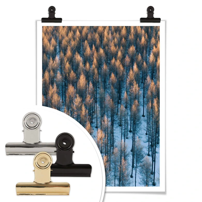 Poster Bingo - Sonnenaufgang im Wald 