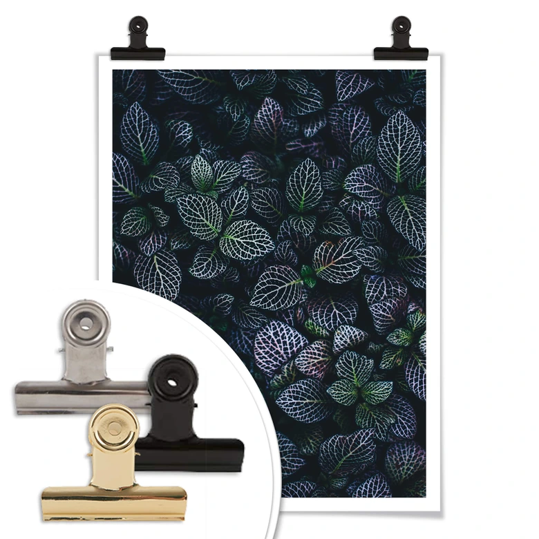 Poster Botanical Contrast 