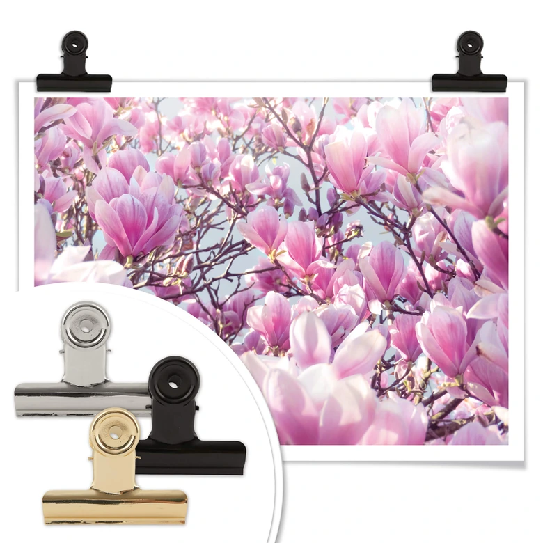 Poster Delgado - Magnolienbaum 