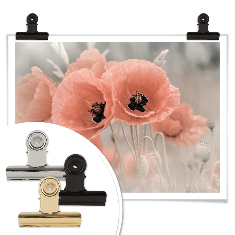 Poster Delgado - Mohn in Pastell 