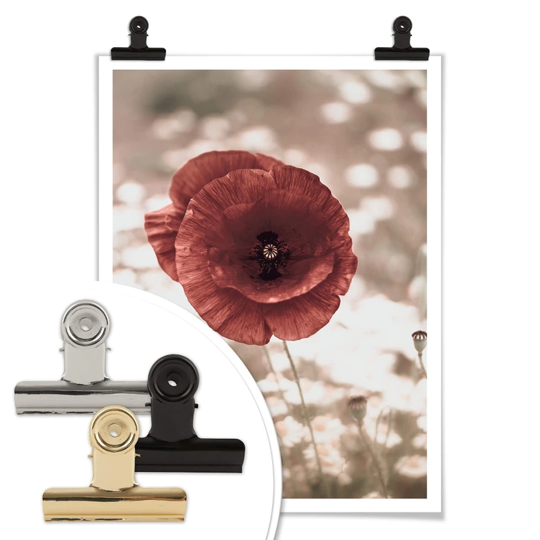 Poster Delgado - Mohnblumen-Portrait 