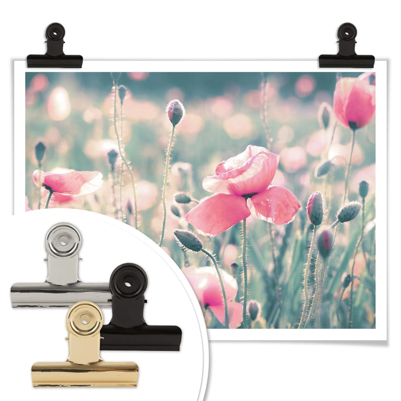 Póster Delgado - Momentos flor de amapola 