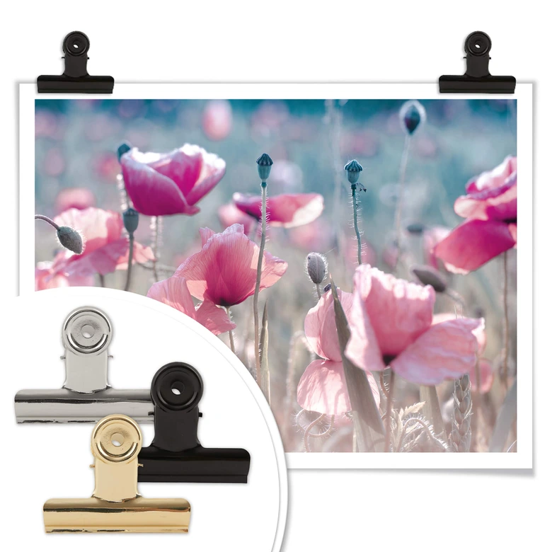 Poster Delgado - Champ de coquelicots 