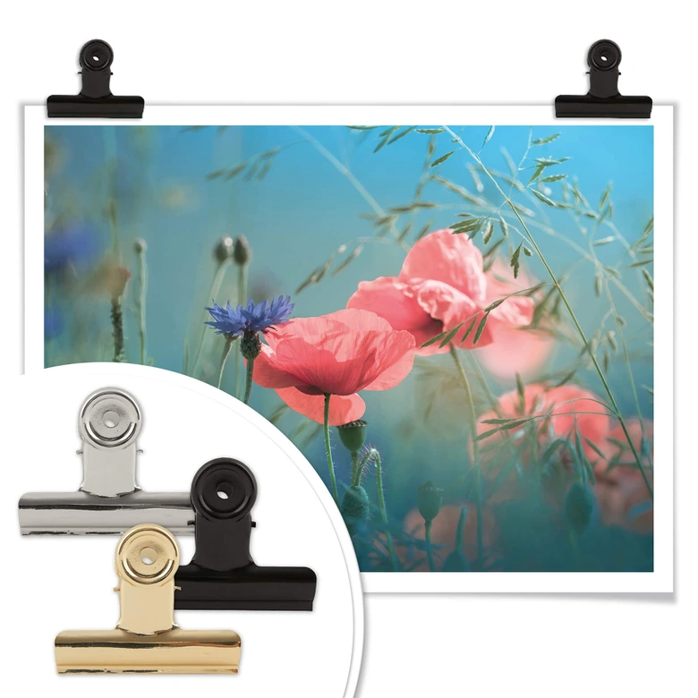 Poster Delgado - Wildblumen Aquamarin 