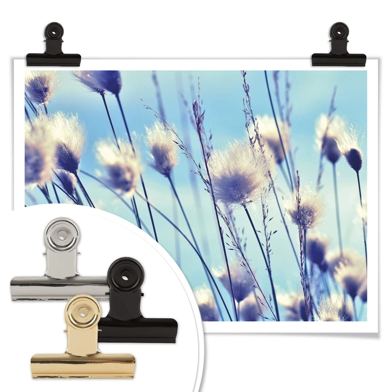 Poster Delgado - Vind i gräset 