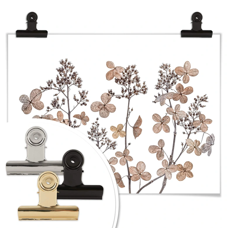 Poster Disher - Flores secas 