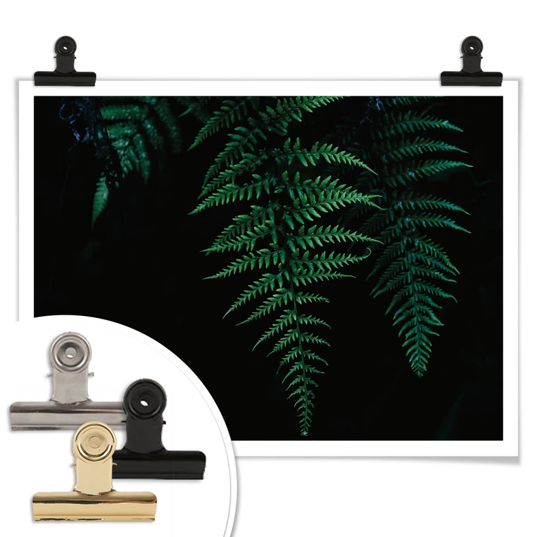 Poster Farn 03 