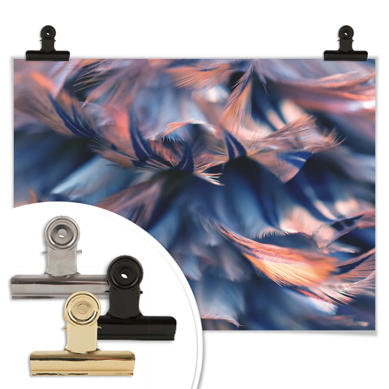 Poster Federkleid 