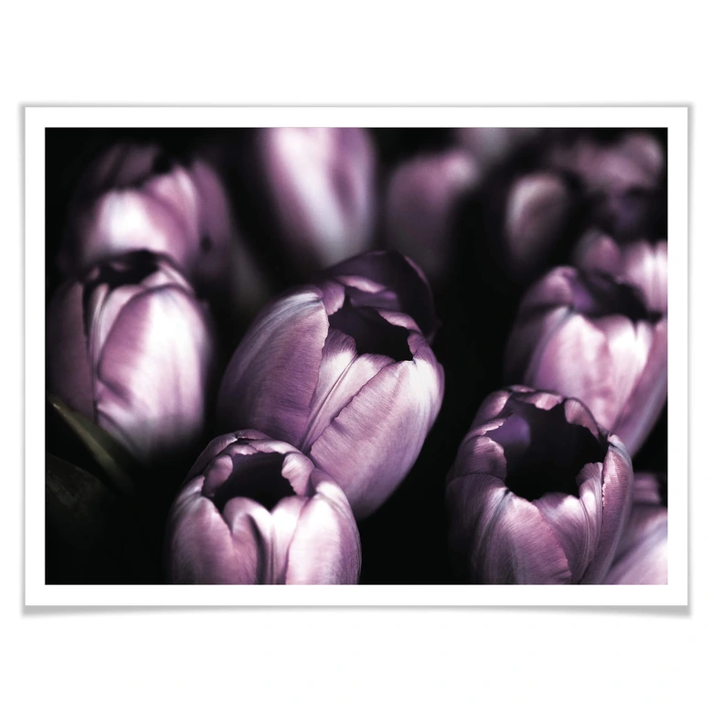 Poster-Set mit Bilderrahmen Frühlingsgefühle (4er Set) 