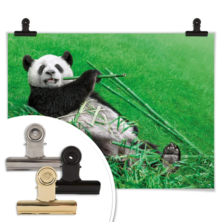 Poster Ben Heine - Glücklicher Panda 