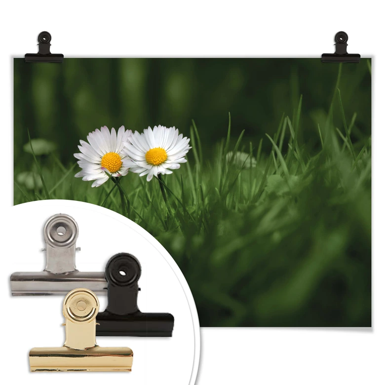 Poster Ben Heine - Zwei Gänseblümchen 