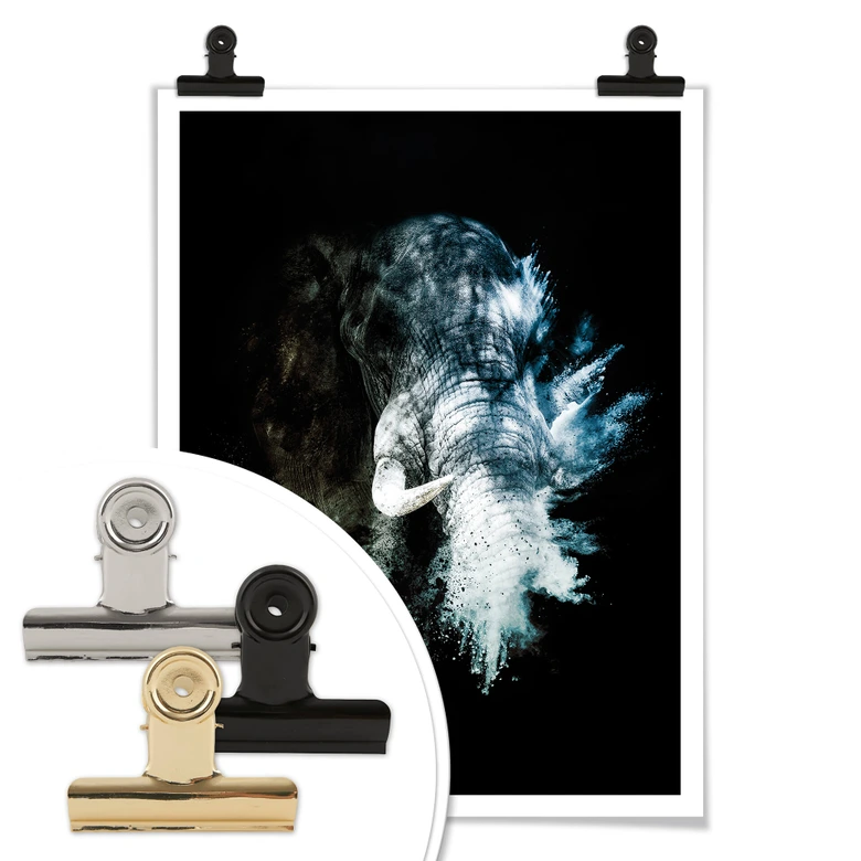 Póster Hugonnard - Explosión salvaje: Elefante 