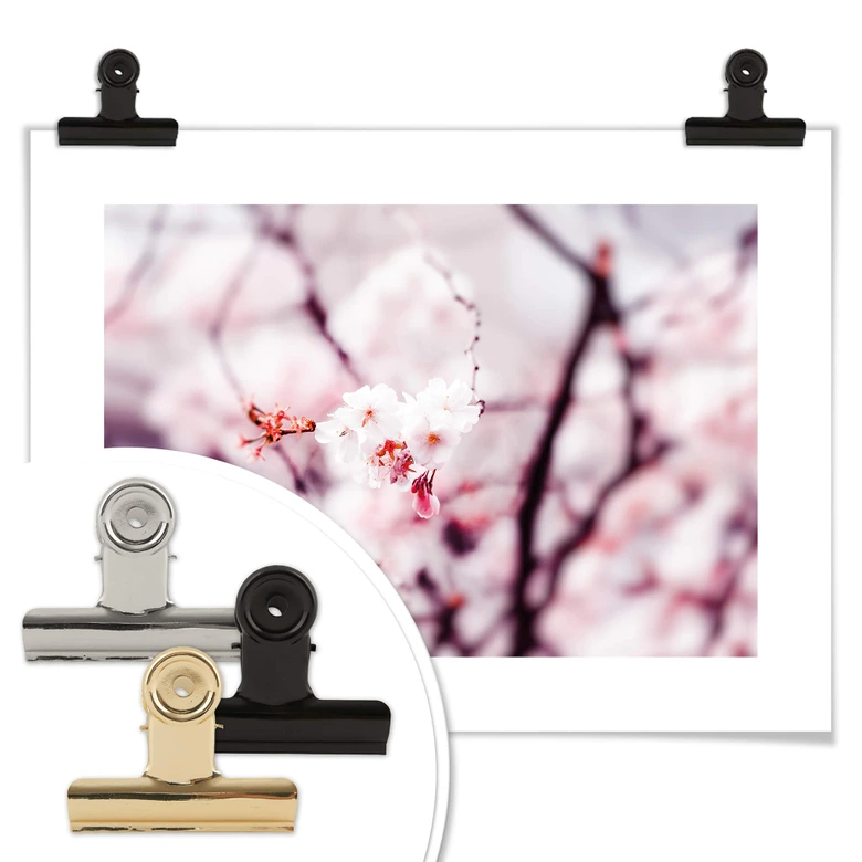 Poster Kirschblüte 02 