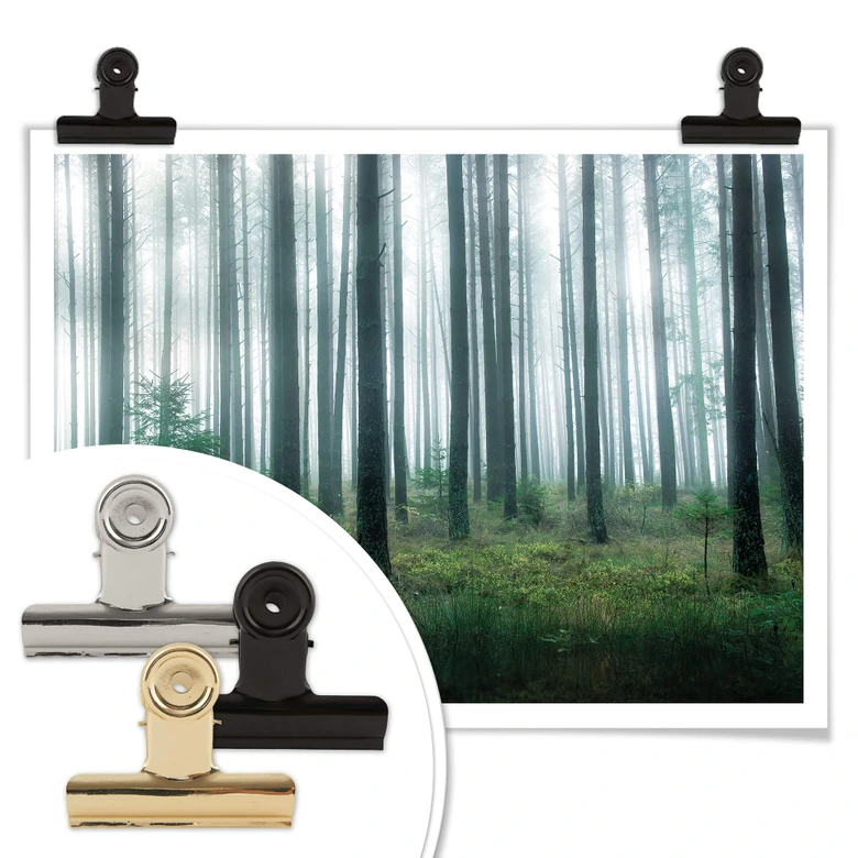 Poster Lindsten - Im Wald 