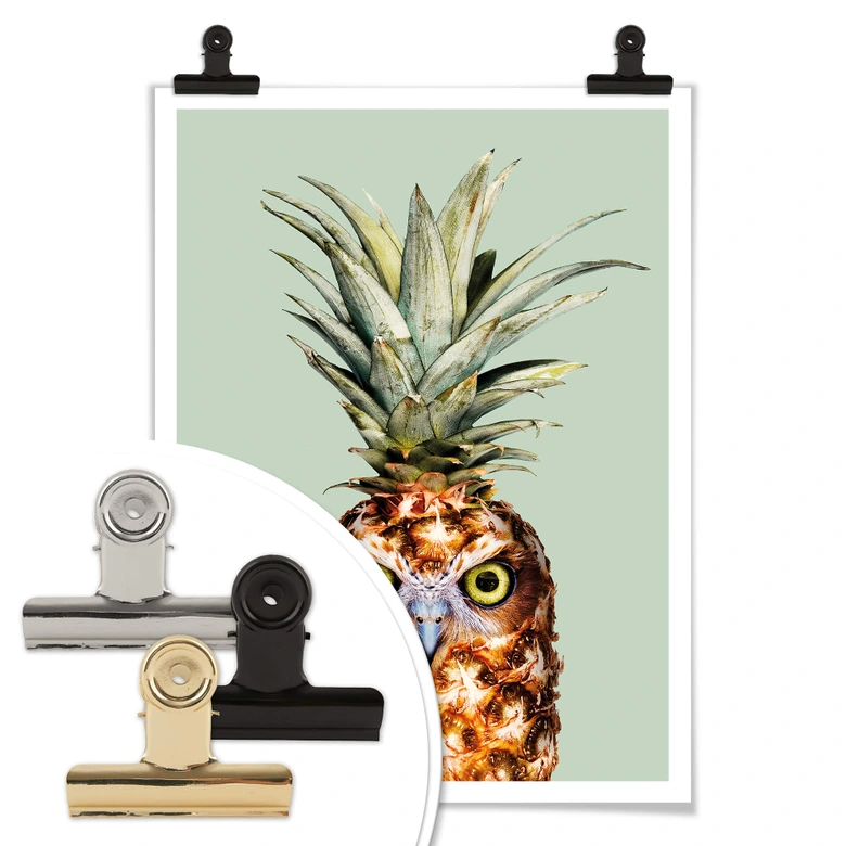 Poster Loose - Ananaseule 