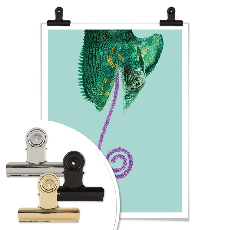 Poster Loose - Candy Chameleon 