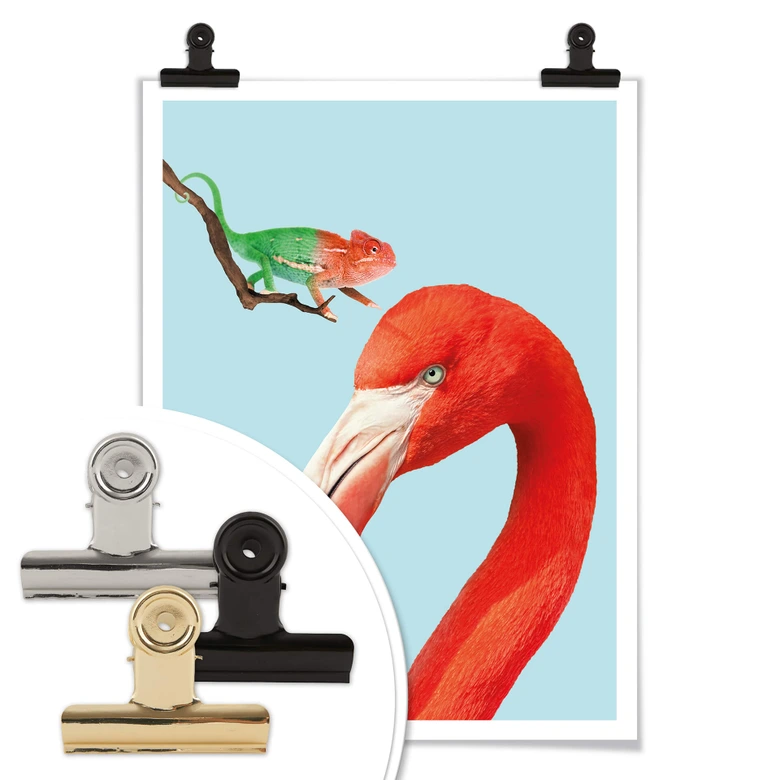 Poster Loose - Colorful Friends 