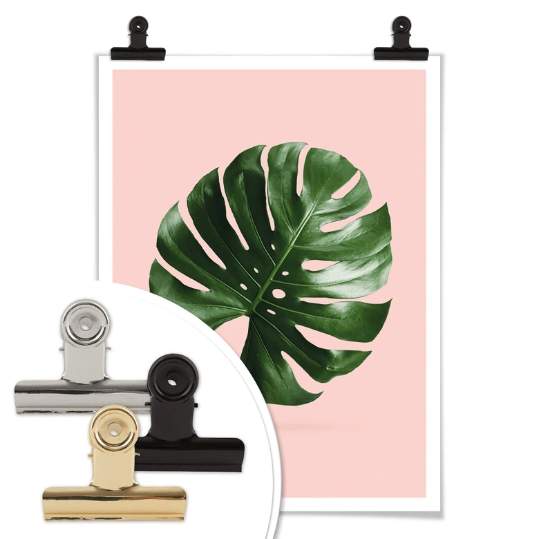 Poster Loose - Monstera Ant 