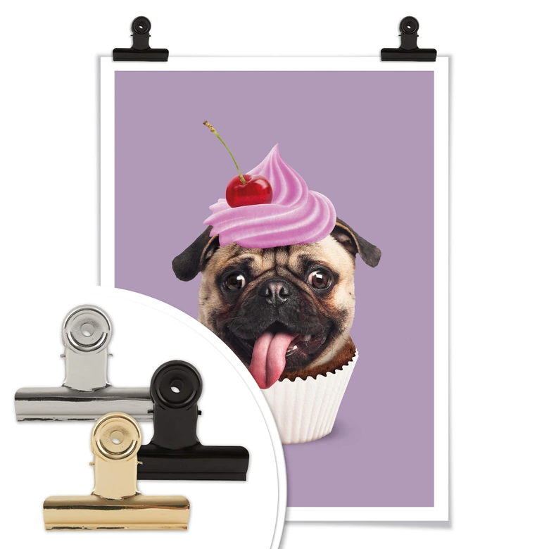 Poster Loose - Pugcake 