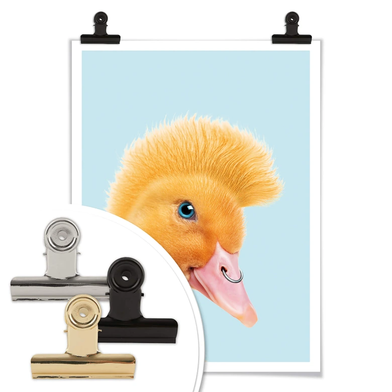 Poster Loose - Canard rebelle 