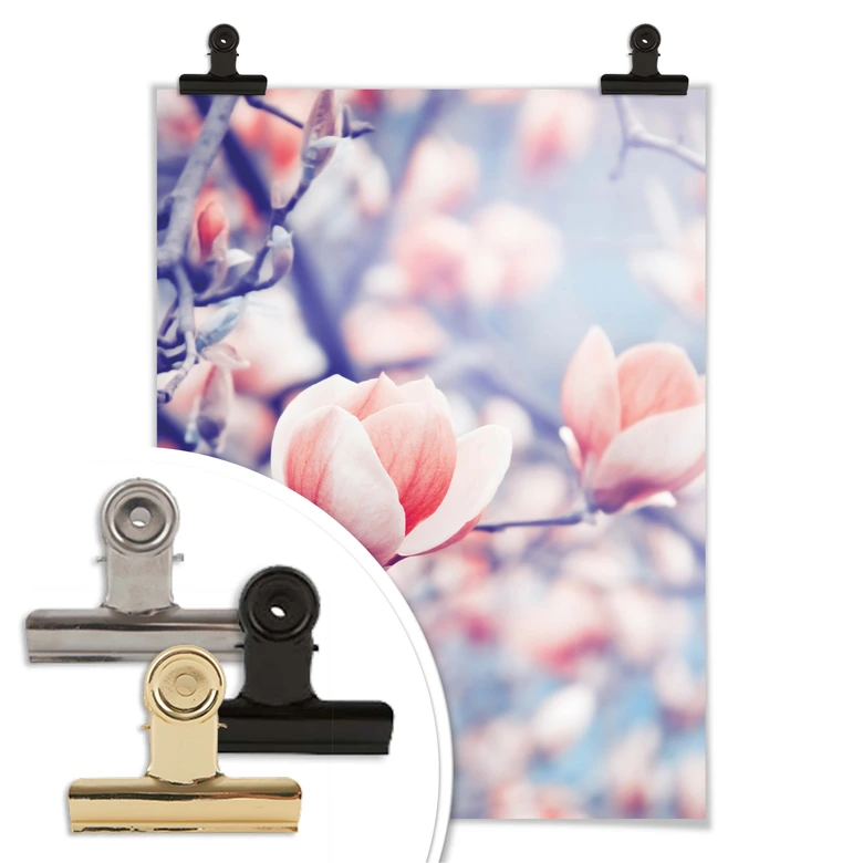 Poster Magnolienknospe 