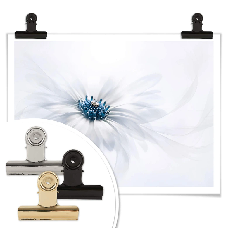 Poster Parker - Frozen Flower 