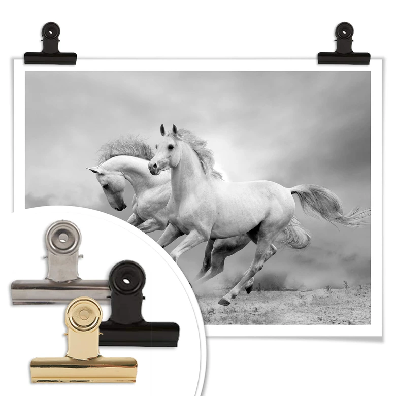 Poster Pferde im Galopp 