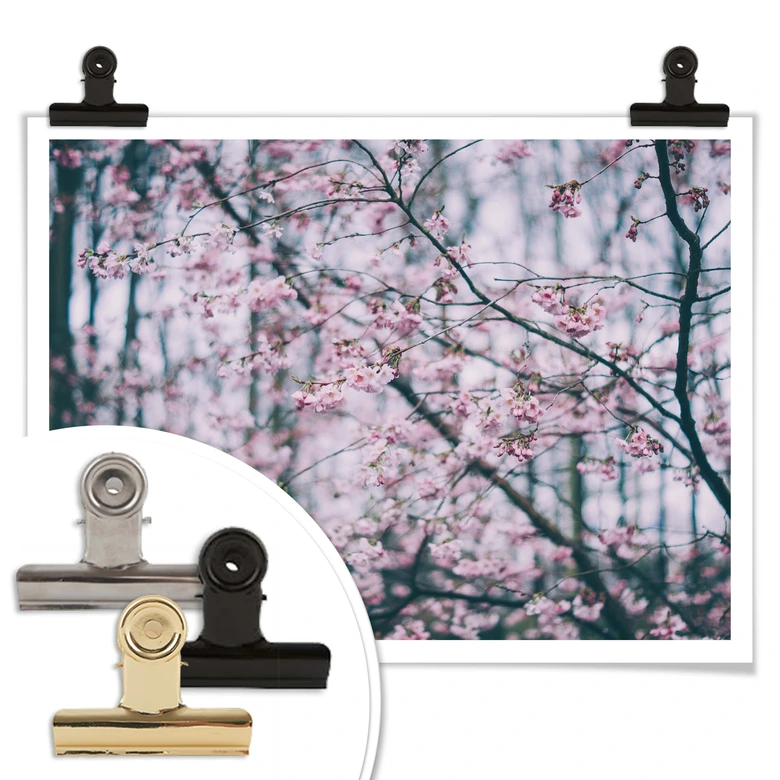 Poster Pink Flower Dream 03 
