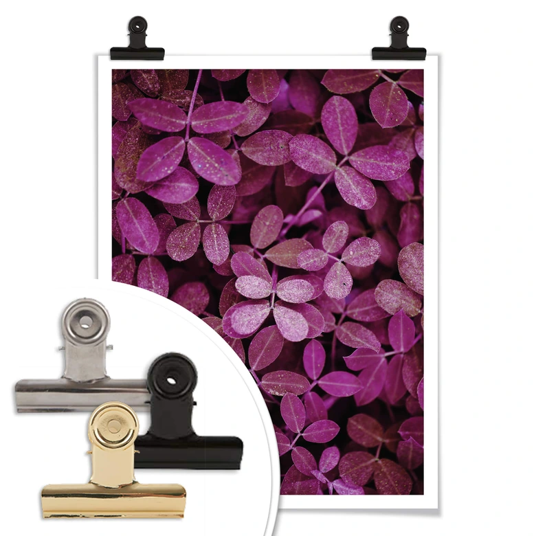 Poster Pink Leaves 
