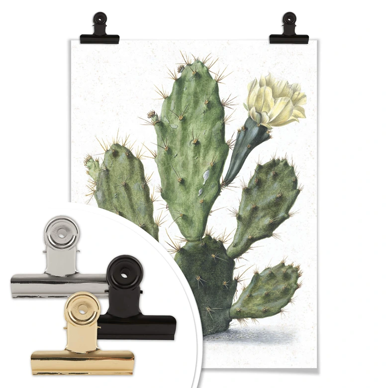 Poster Saftleven - Kaktus 