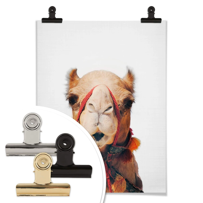 Poster Sisi & Seb - Camel 