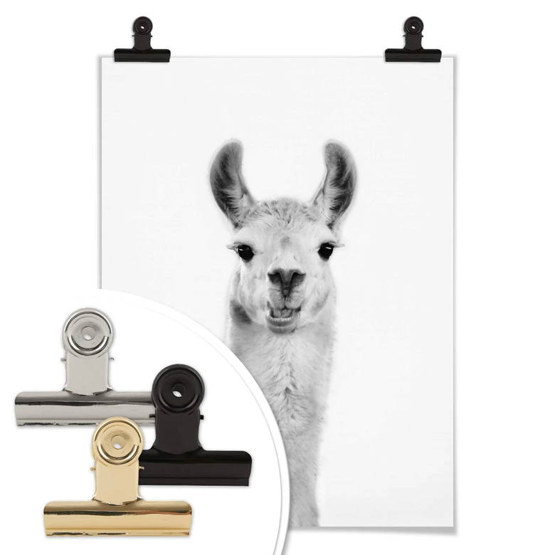 Poster Sisi & Seb - Happy Lama 