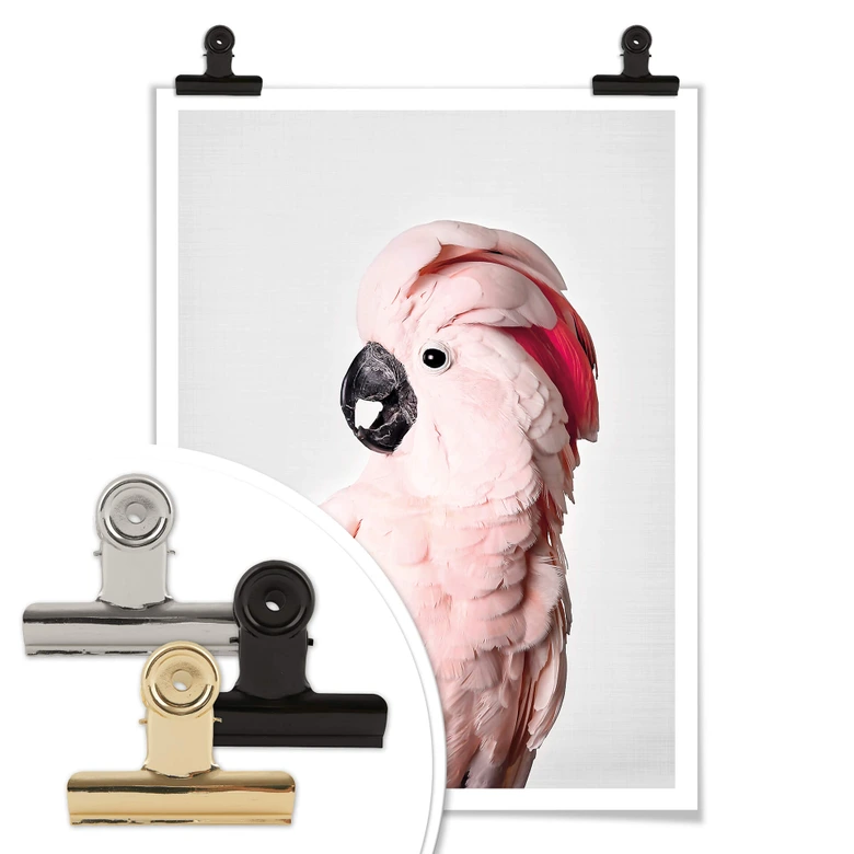 Plakat Sisi & Seb - Różowy kakadu 