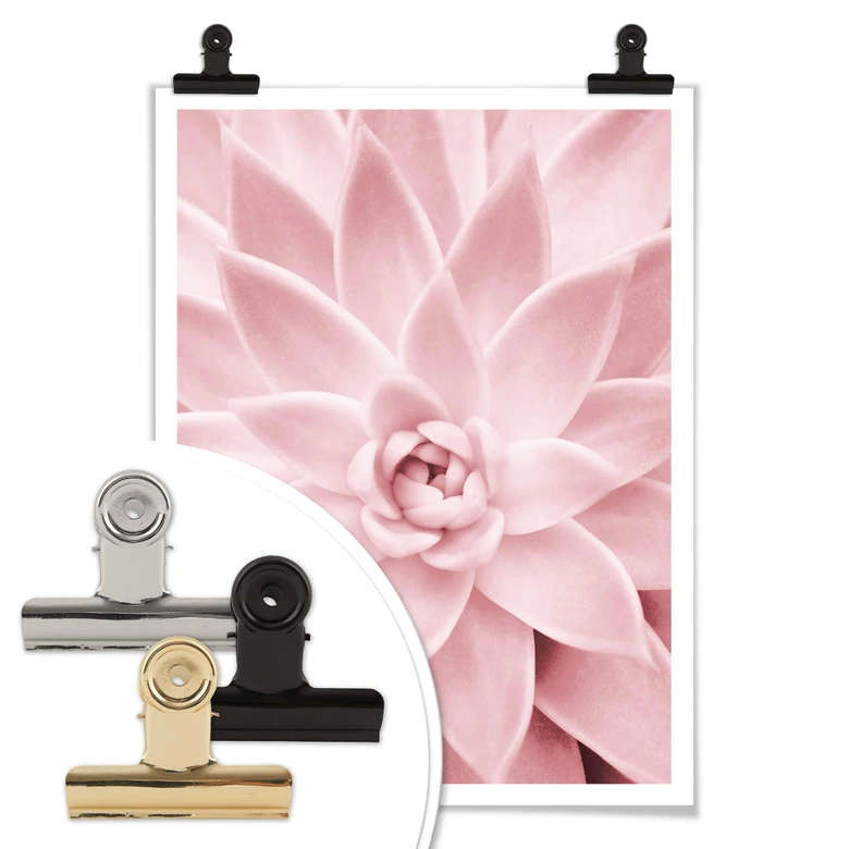 Poster Sisi & Seb - Rosa Sukkulente 